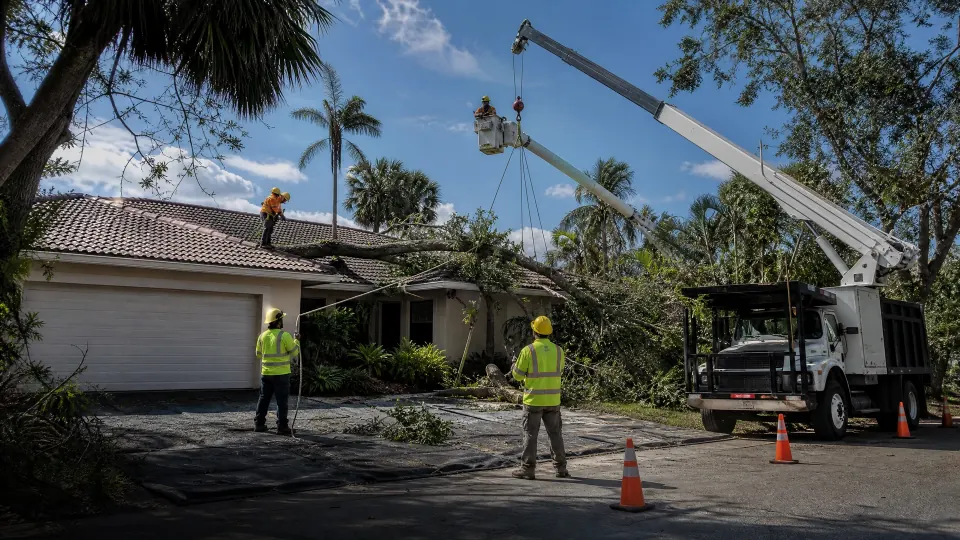 Representative emergency tree crew using controlled rigging near a storm-damaged limb on a residential roof